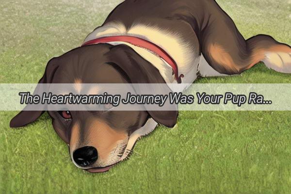 The Heartwarming Journey Was Your Pup Raised by Mom or Not